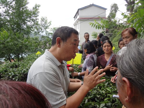 图为安石村邀请农业专家搞绿色培训的剪影2