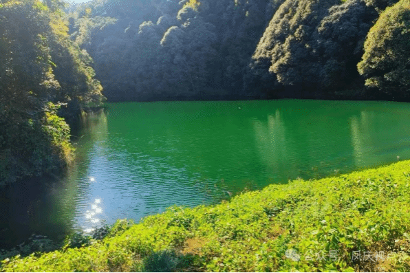 鲁史镇：筑牢水库安全防线
