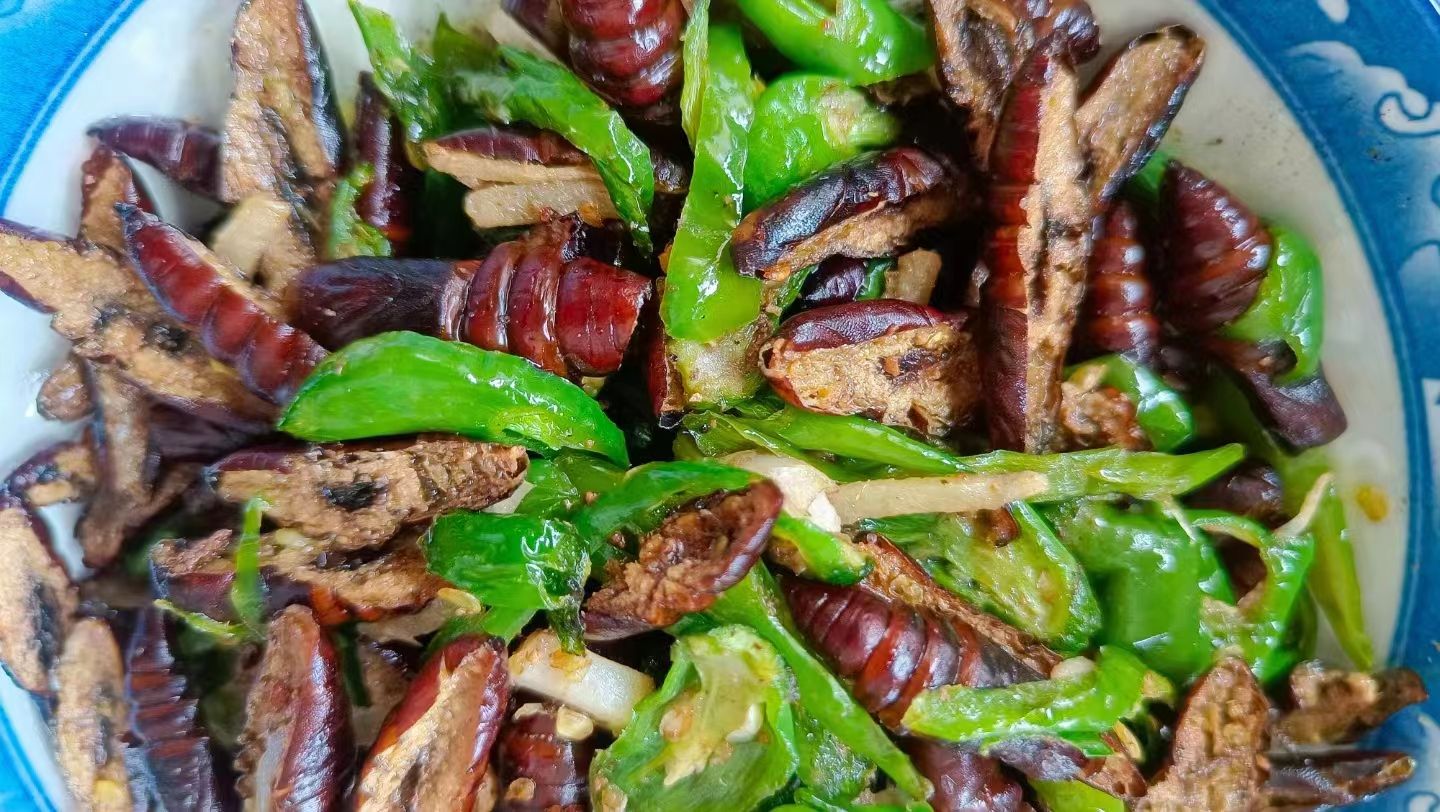 凤庆核桃虫：摇头的蛹儿 让您点头的美味