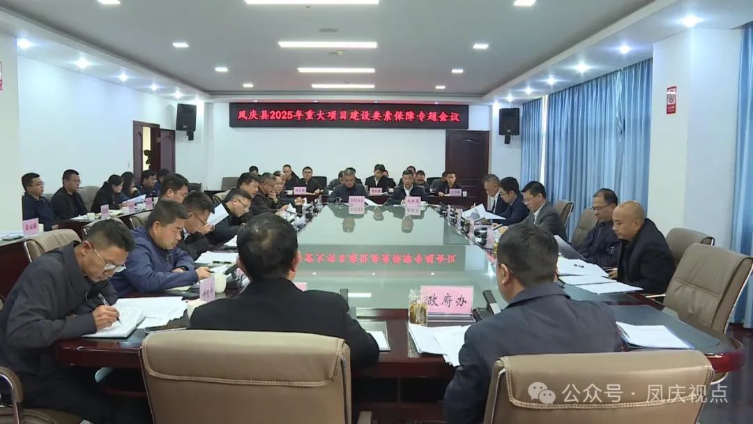 谭波主持召开2025年重大项目建设要素保障专题会议强调:要坚持真抓实干，强化要素保障，全力推动重大项目建设提质提速提效