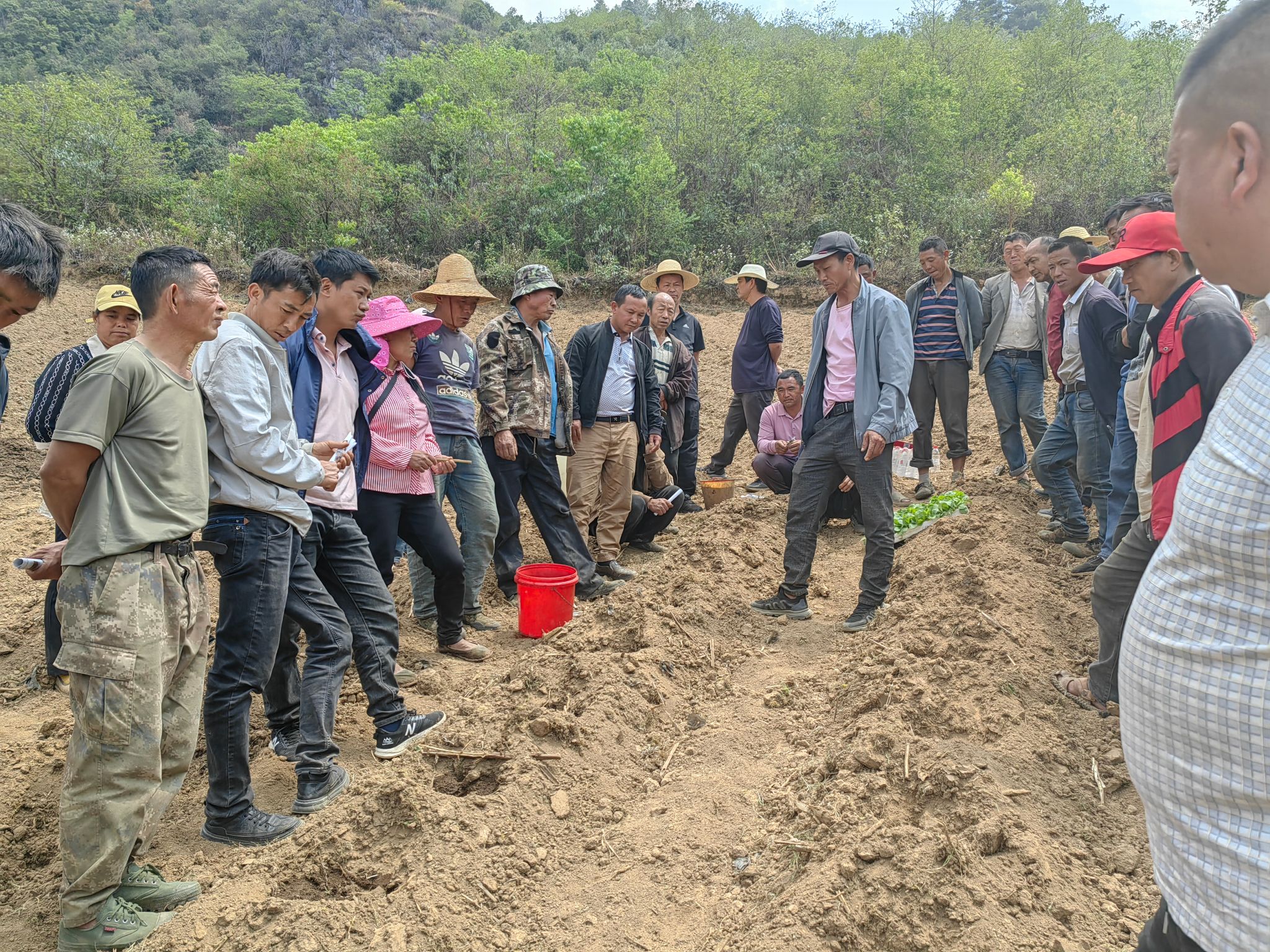 凤庆新华：烤烟移栽正当时