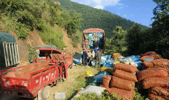 鲁史镇坚果产业兴 助力绿水青山变金山银山