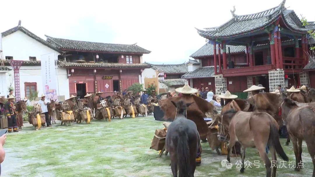 探寻茶马古道 传承文化遗产