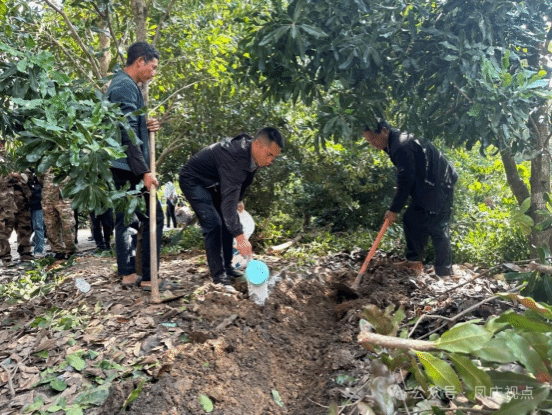 【我为群众办实事】做实临沧坚果提质增效培训 鲁史镇人大代表践行“民呼我为”工程