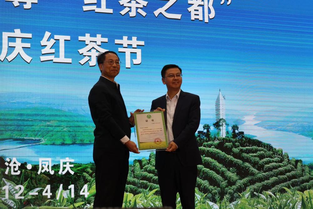 临沧凤庆：共赴一场滇红茶之约