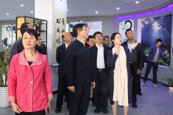 省委副书记王予波一行到我县电子商务公共服务中心调研