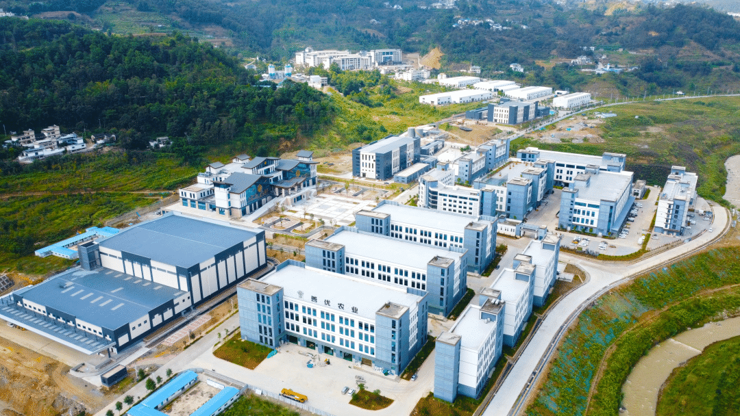 凤庆县：企业抢抓生产“黄金期” 跑出园区经济“加速度”