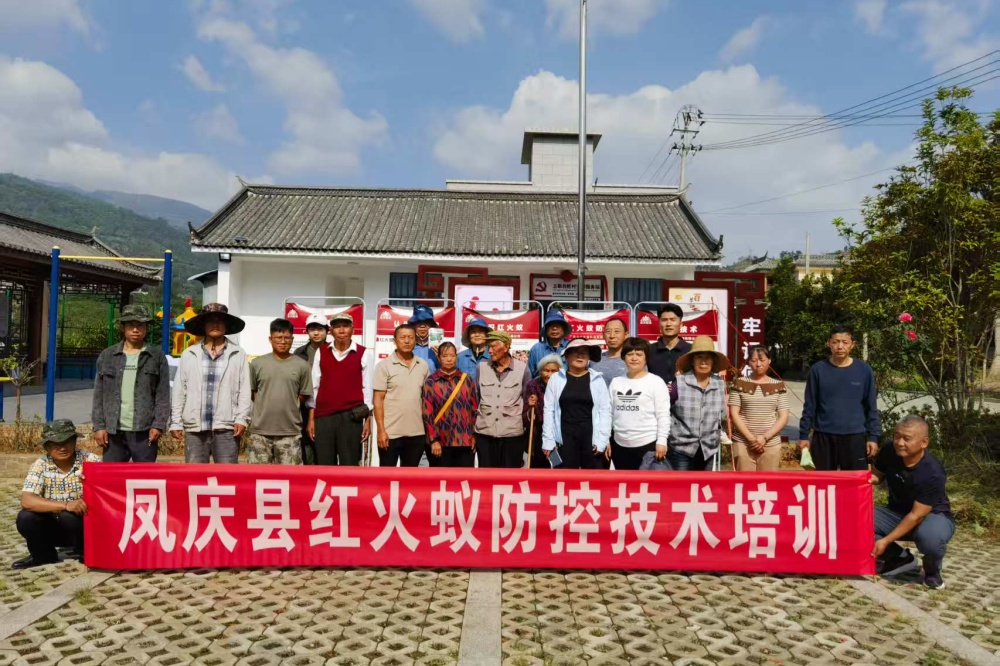 加强红火蚁防控 保障群众生产生活安全